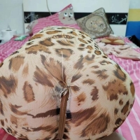 豹纹大屁股骚妇