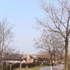 徐州扫街